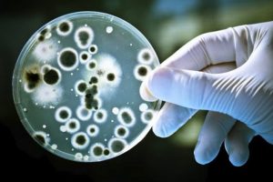 bacterias-podrian-ayudar-a-limpiar-contaminacion-por-antibioticos-696x465